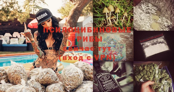СК Богородицк