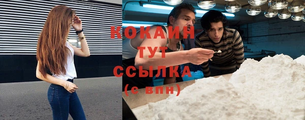 стафф Бородино