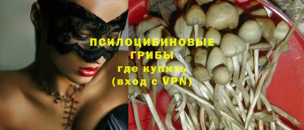спиды Бугульма