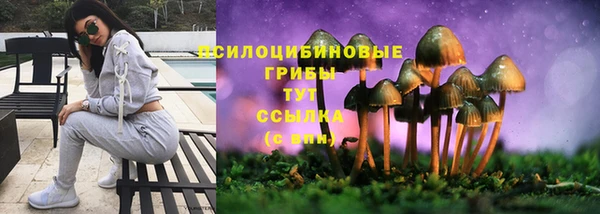 спиды Бугульма