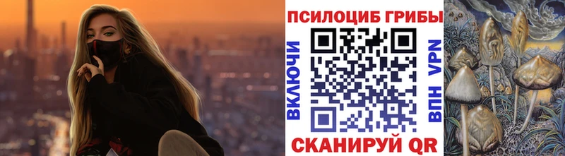 дарк нет как зайти  закладки  kraken как войти  Киржач  Галлюциногенные грибы Cubensis 